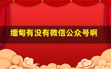 缅甸有没有微信公众号啊