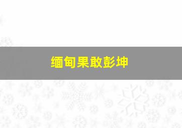 缅甸果敢彭坤