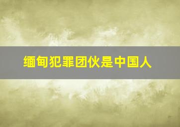 缅甸犯罪团伙是中国人