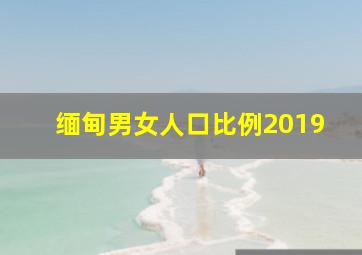 缅甸男女人口比例2019