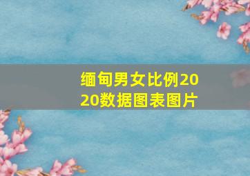 缅甸男女比例2020数据图表图片