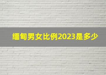 缅甸男女比例2023是多少