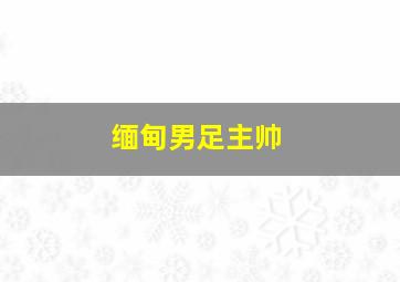 缅甸男足主帅