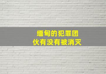 缅甸的犯罪团伙有没有被消灭