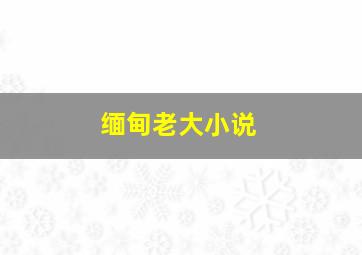 缅甸老大小说