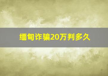 缅甸诈骗20万判多久