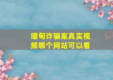 缅甸诈骗案真实视频哪个网站可以看