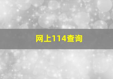 网上114查询