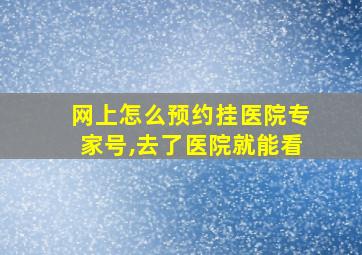 网上怎么预约挂医院专家号,去了医院就能看