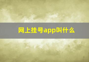 网上挂号app叫什么