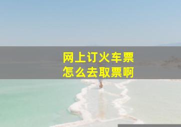 网上订火车票怎么去取票啊