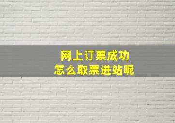 网上订票成功怎么取票进站呢