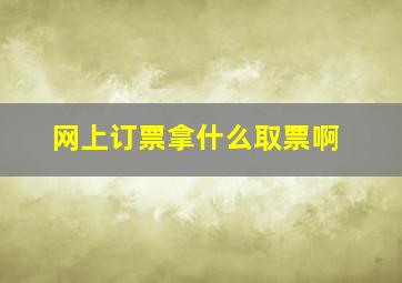 网上订票拿什么取票啊