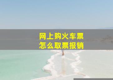 网上购火车票怎么取票报销