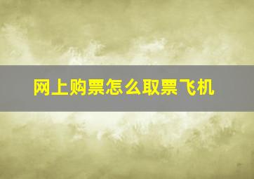 网上购票怎么取票飞机