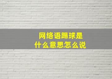 网络语踢球是什么意思怎么说