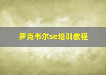 罗克韦尔se培训教程