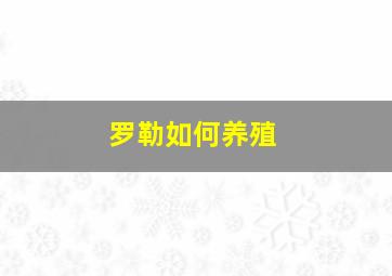 罗勒如何养殖