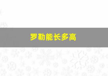 罗勒能长多高