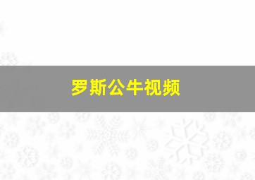 罗斯公牛视频