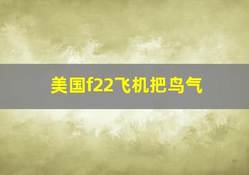 美国f22飞机把鸟气