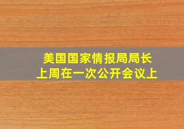 美国国家情报局局长上周在一次公开会议上