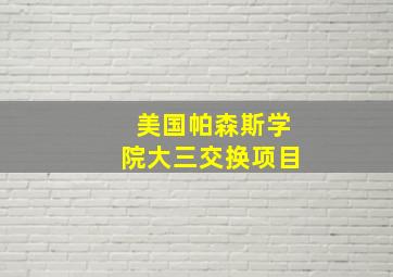 美国帕森斯学院大三交换项目