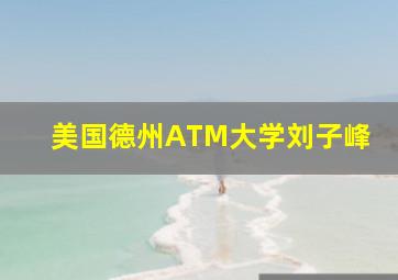 美国德州ATM大学刘子峰