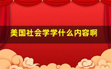 美国社会学学什么内容啊