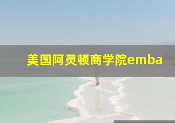 美国阿灵顿商学院emba