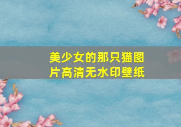 美少女的那只猫图片高清无水印壁纸