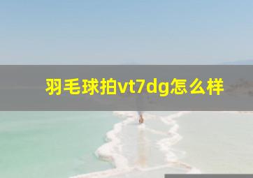 羽毛球拍vt7dg怎么样