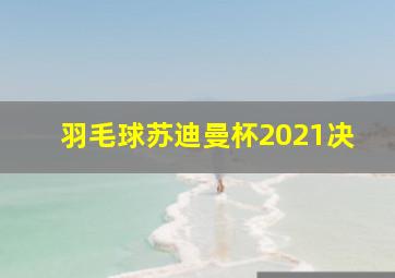 羽毛球苏迪曼杯2021决