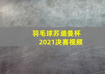 羽毛球苏迪曼杯2021决赛视频