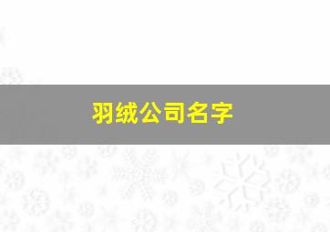 羽绒公司名字