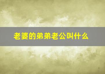 老婆的弟弟老公叫什么