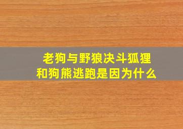 老狗与野狼决斗狐狸和狗熊逃跑是因为什么