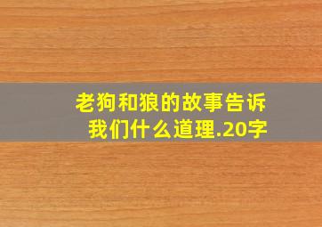 老狗和狼的故事告诉我们什么道理.20字