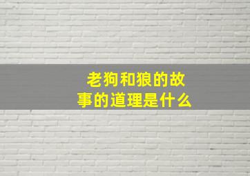 老狗和狼的故事的道理是什么