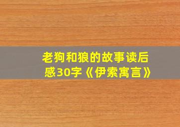 老狗和狼的故事读后感30字《伊索寓言》