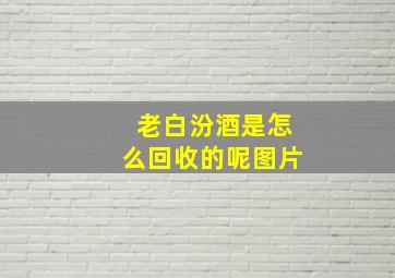 老白汾酒是怎么回收的呢图片