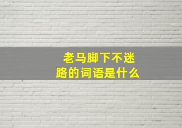 老马脚下不迷路的词语是什么