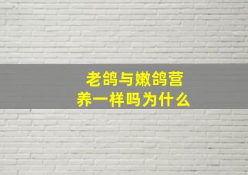 老鸽与嫩鸽营养一样吗为什么