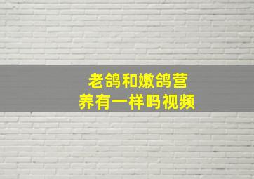 老鸽和嫩鸽营养有一样吗视频