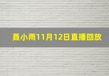 聂小雨11月12日直播回放