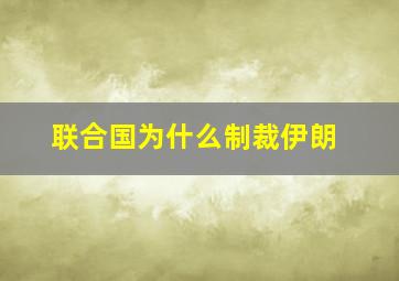 联合国为什么制裁伊朗