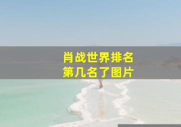 肖战世界排名第几名了图片