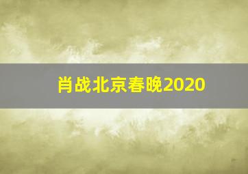 肖战北京春晚2020