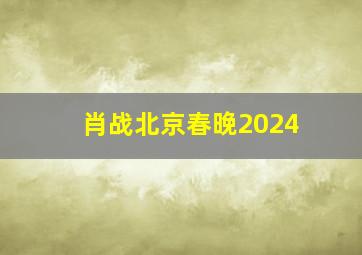 肖战北京春晚2024