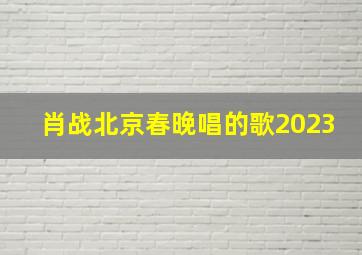 肖战北京春晚唱的歌2023